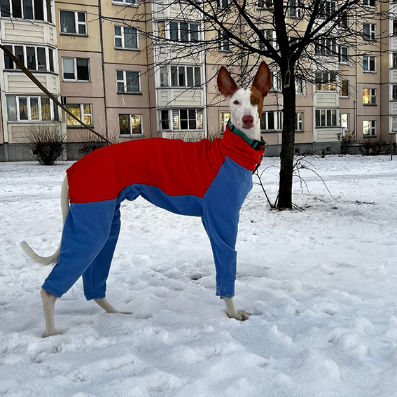 Флисовый комбинезон