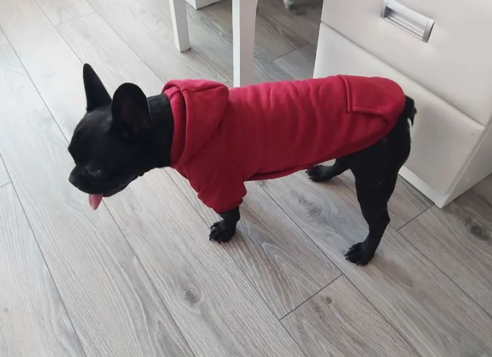 Фото к отзыву от Евгения