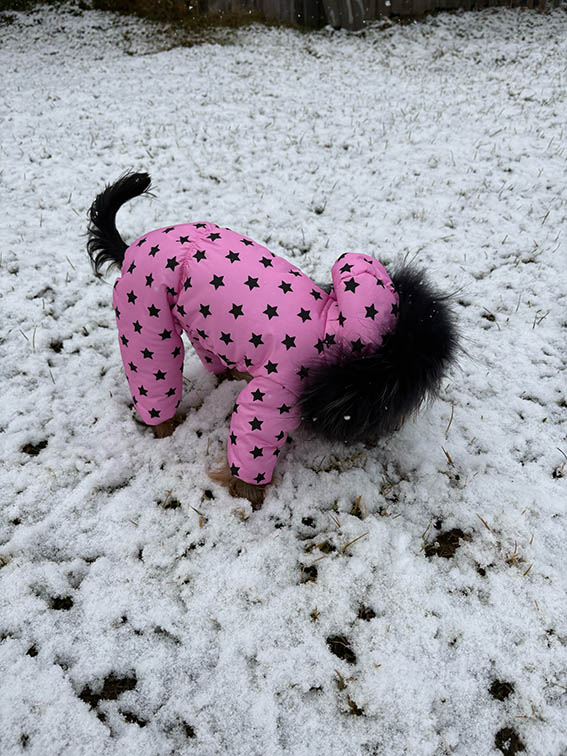 Фото к отзыву от Марина Герасимова