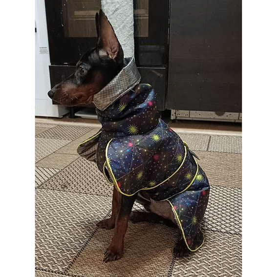 Фото к отзыву от Светлана