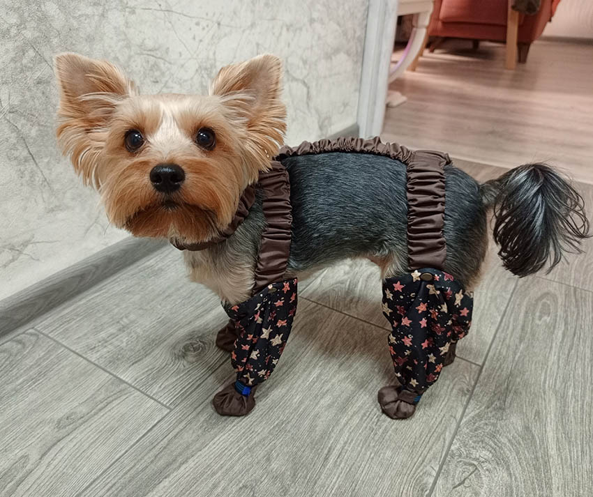 Фото к отзыву от Наталья