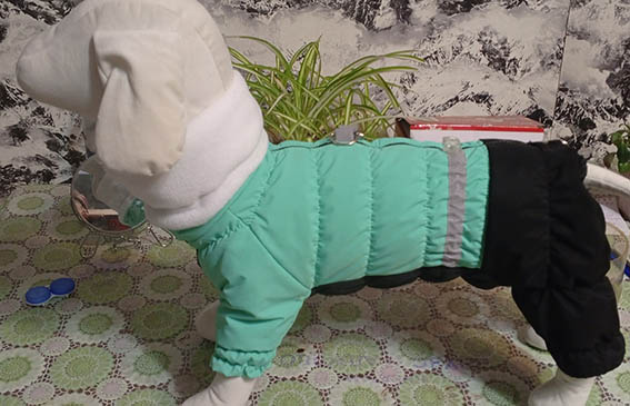 Фото к отзыву от Татьяна