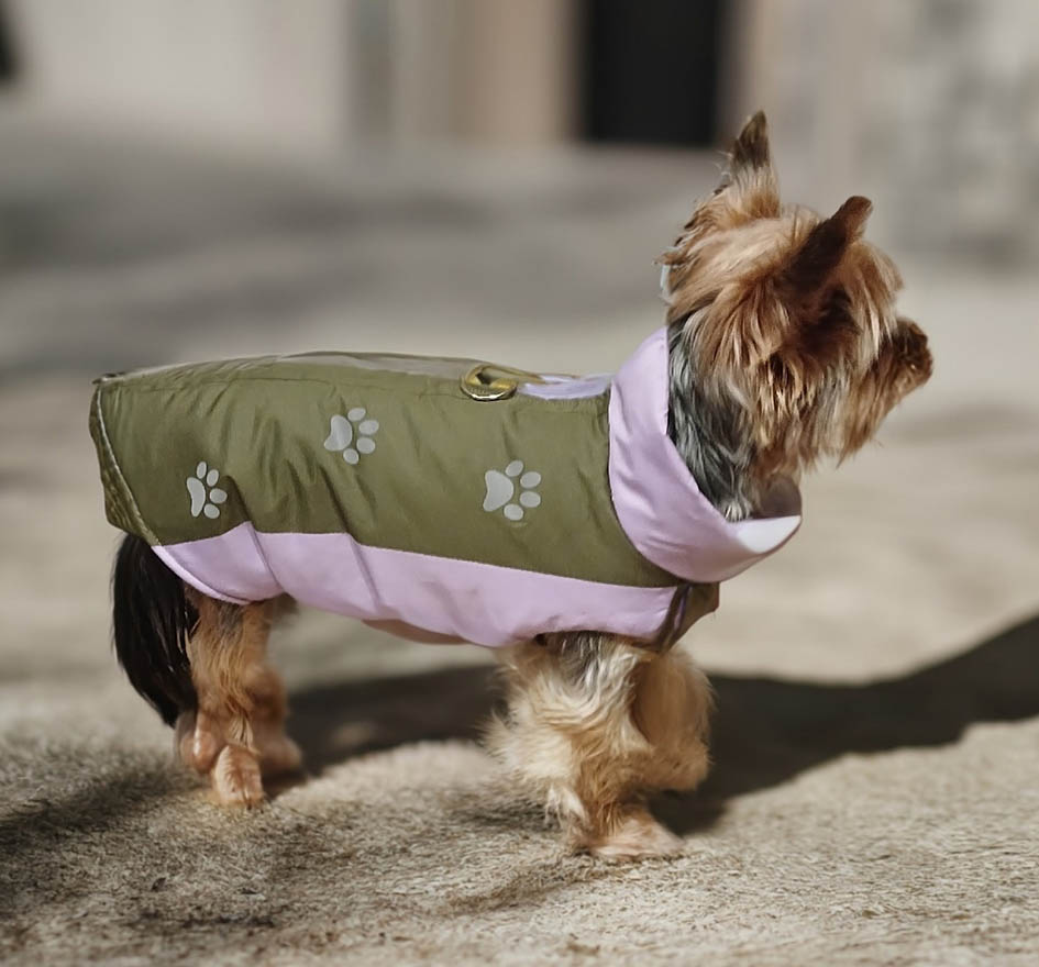 Фото к отзыву от Ольга