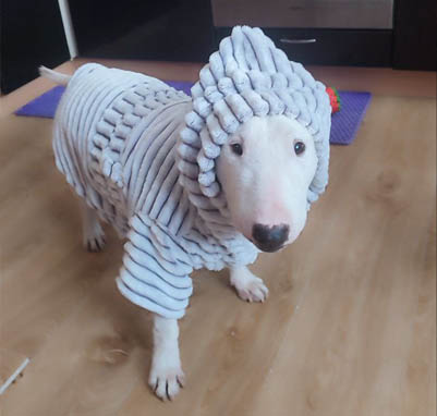 Фото к отзыву от Полина