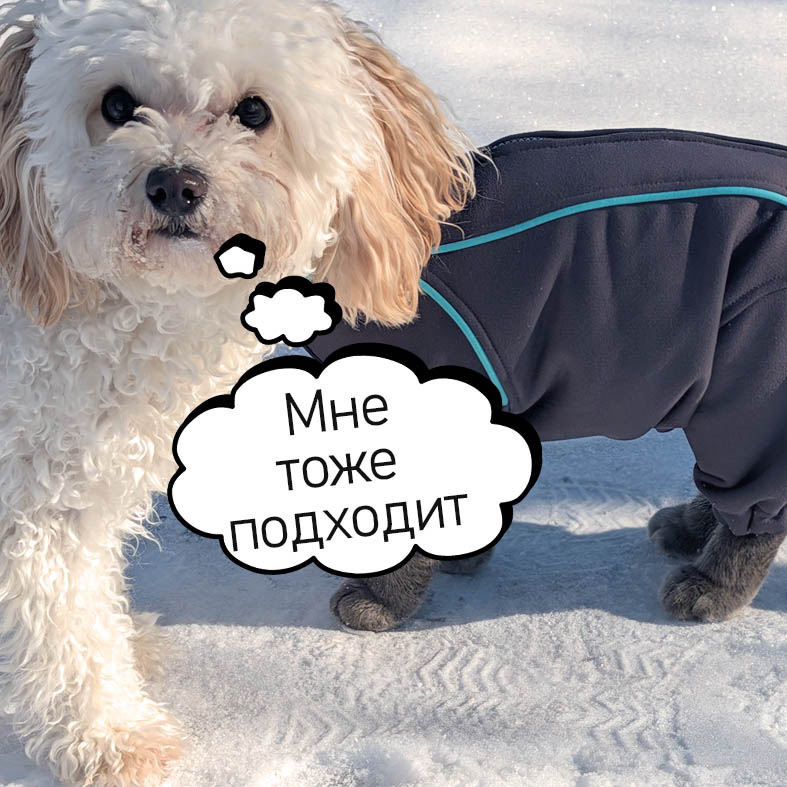 Комбинезон Котя