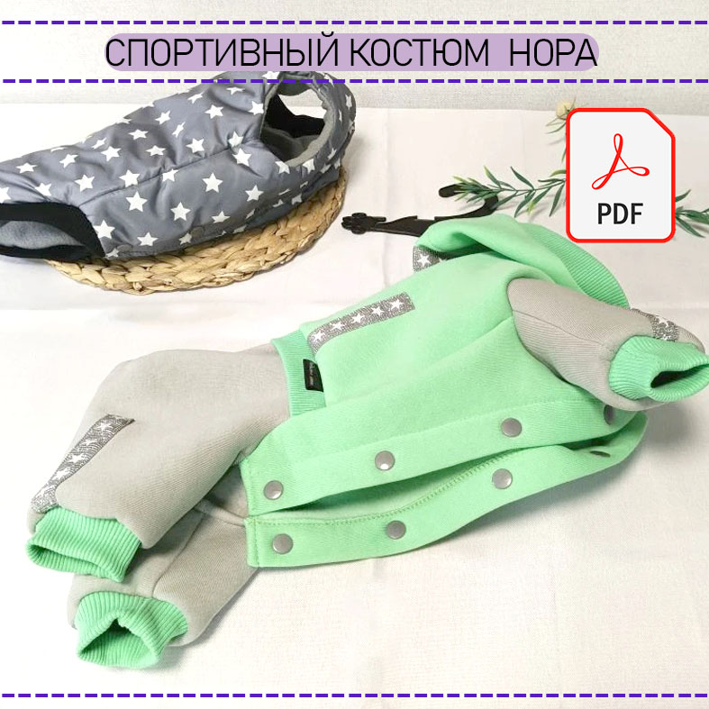 Спортивный костюм Нора