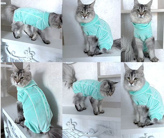 Фото к отзыву от Лена 