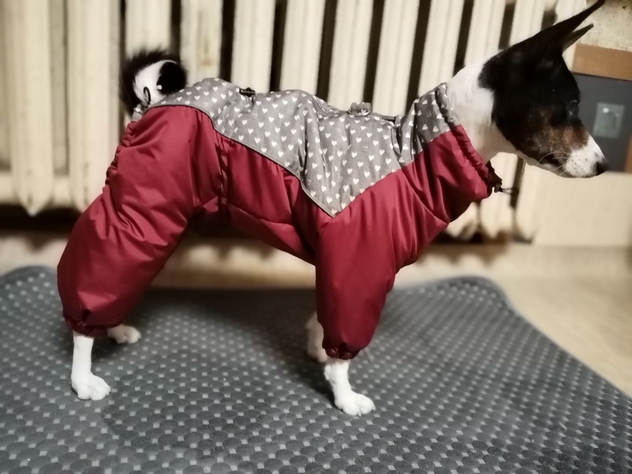 Фото к отзыву от Маруся