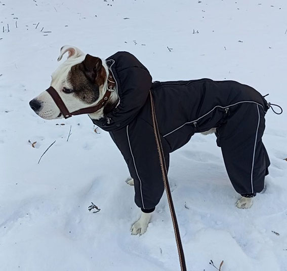 Фото к отзыву от Маруся