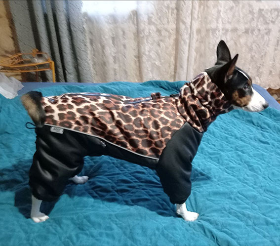 Фото к отзыву от Маруся