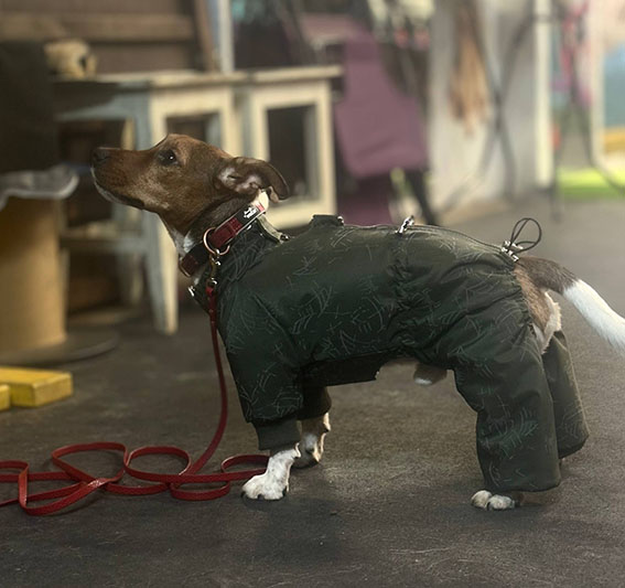 Фото к отзыву от Маруся