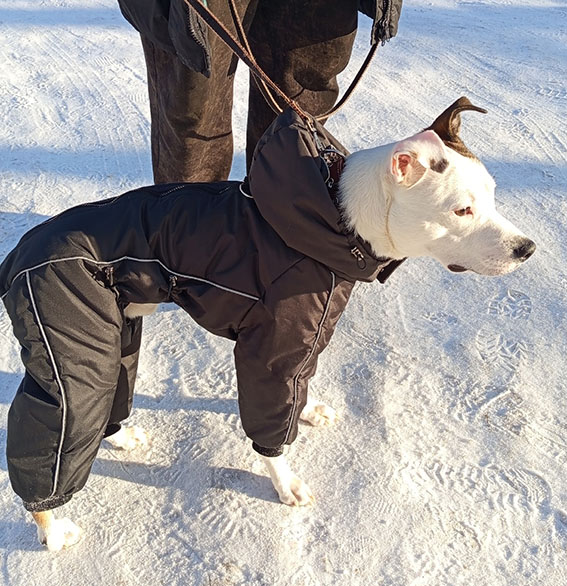 Фото к отзыву от Маруся