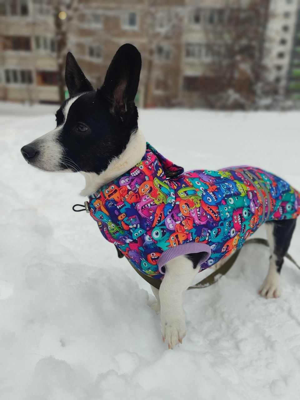 Фото к отзыву от Маруся