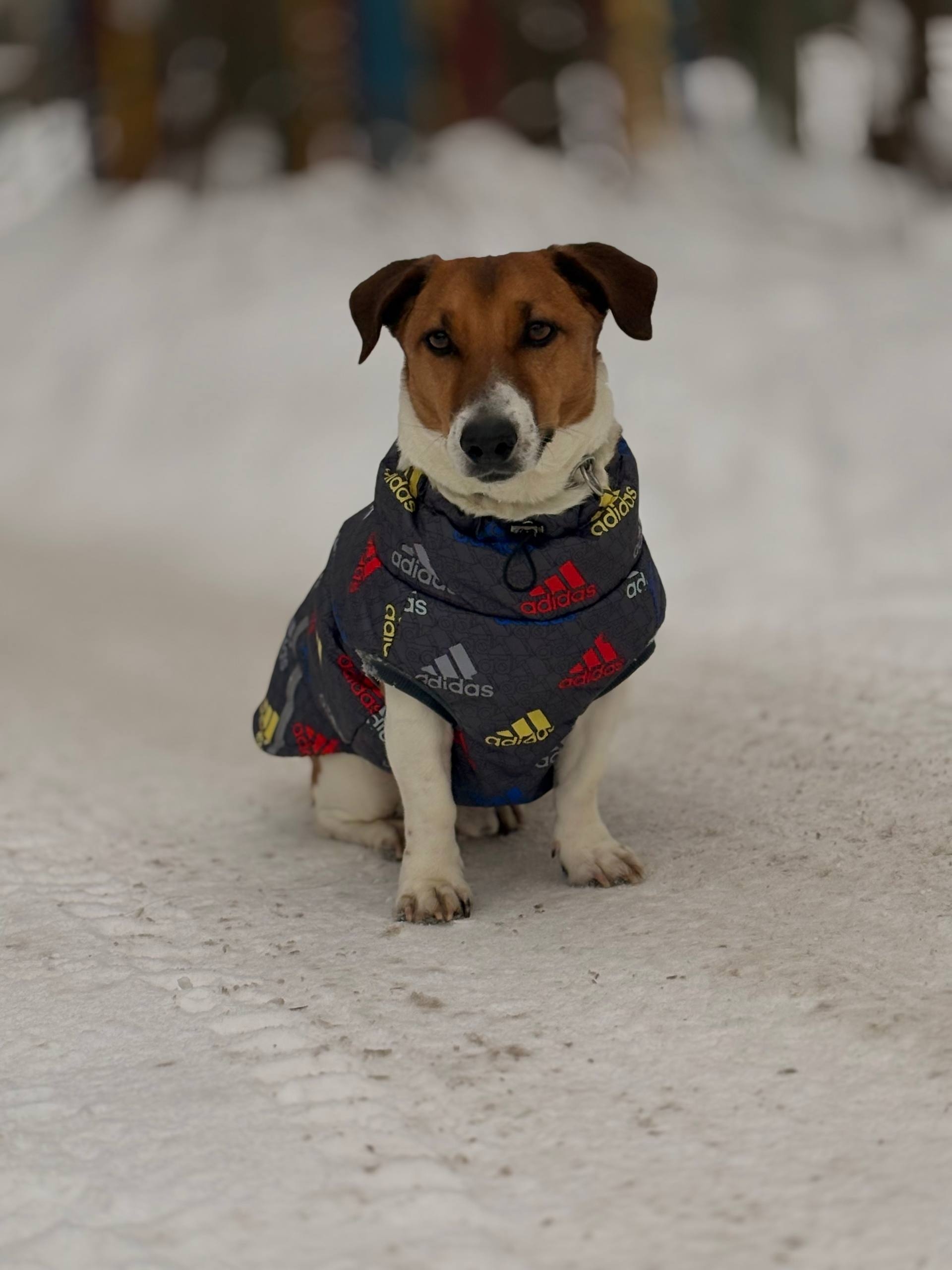 Фото к отзыву от Маруся