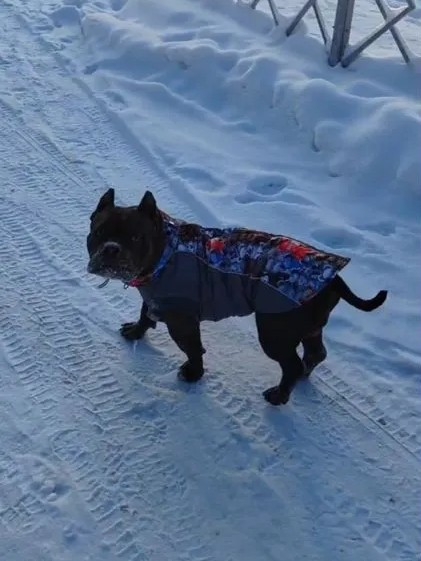 Фото к отзыву от Маруся