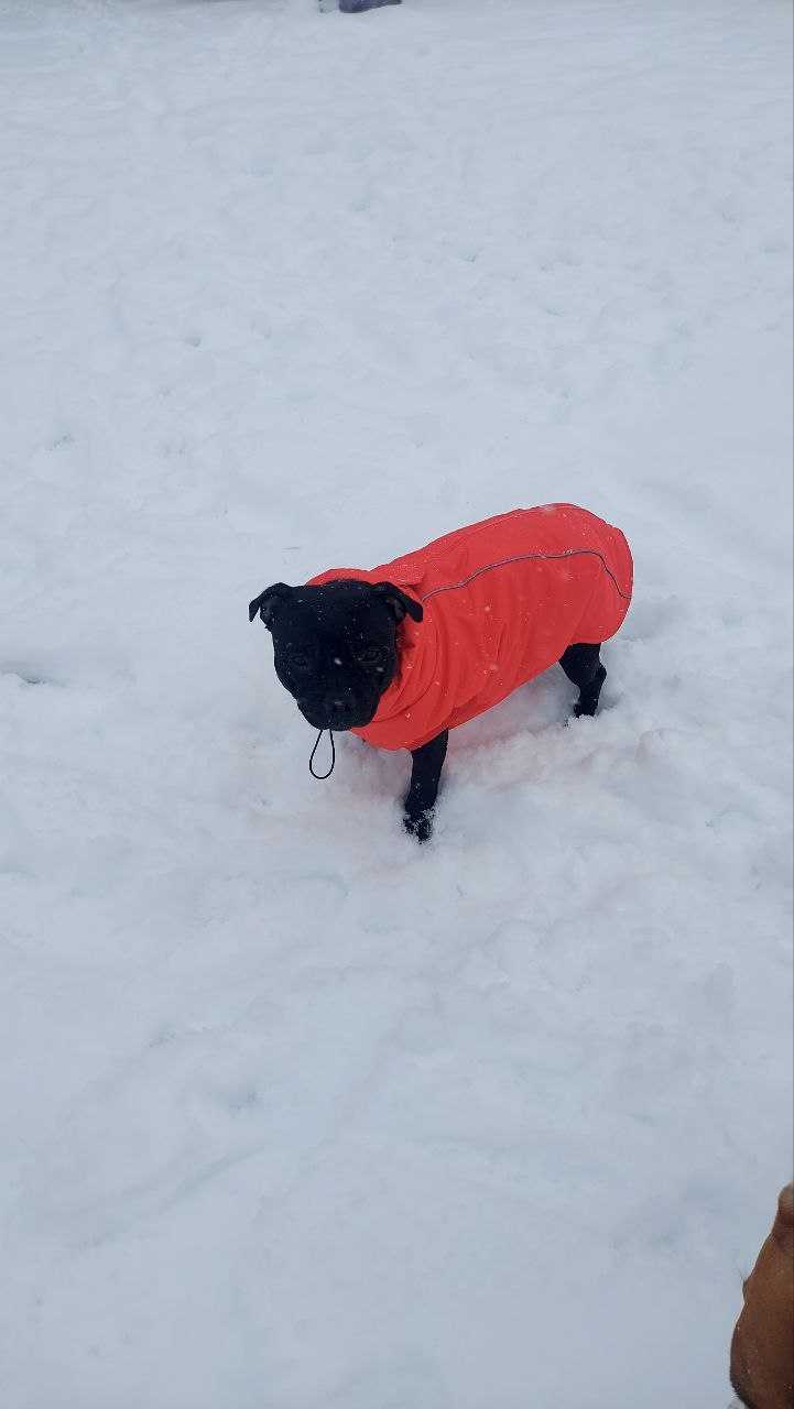 Фото к отзыву от Маруся