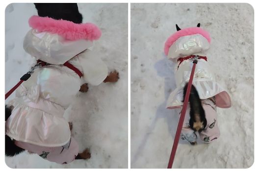 Фото к отзыву от Наталья