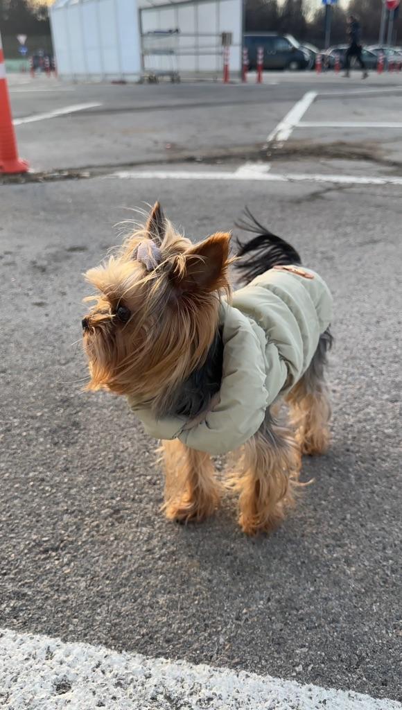 Фото к отзыву от Юлия