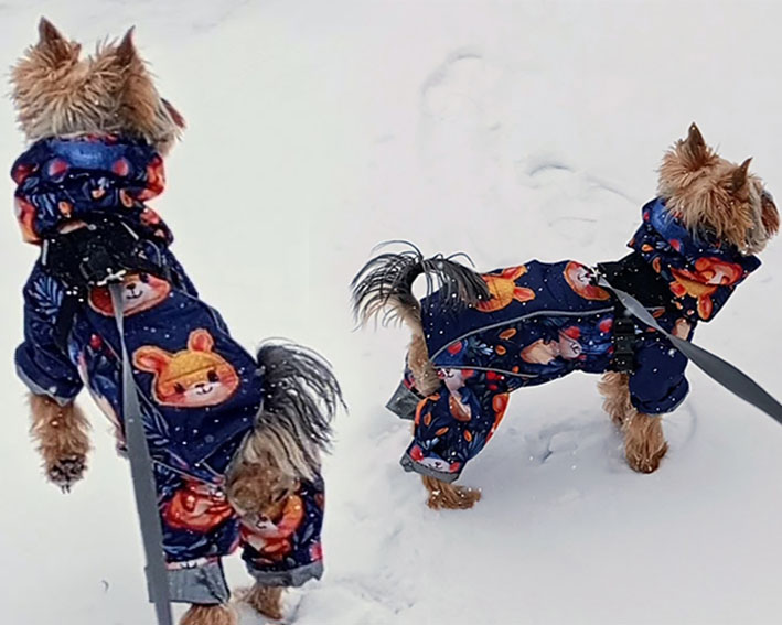 Фото к отзыву от Иришка Грищенко