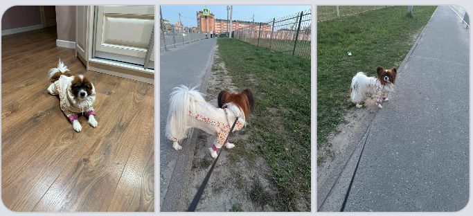 Фото к отзыву от Элеонора