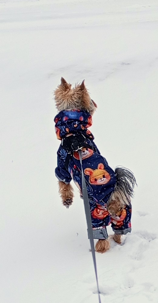 Фото к отзыву от Ирина