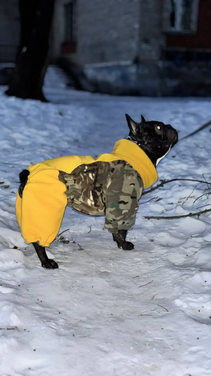 Фото к отзыву от Александра