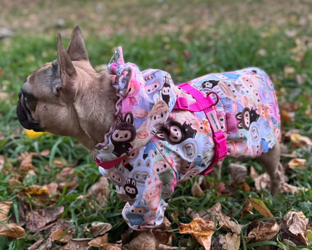 Фото к отзыву от Александра