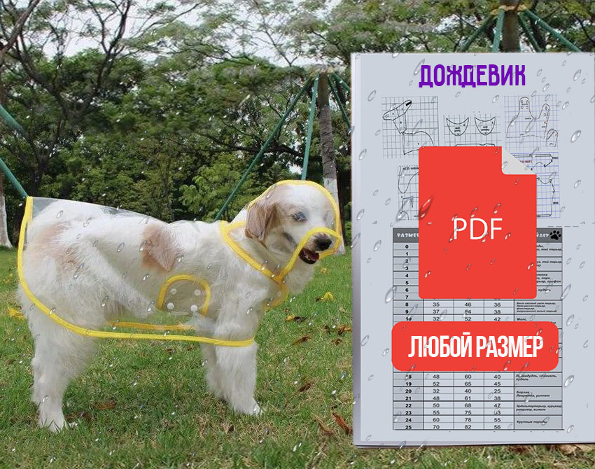 Дождевик прозрачный
